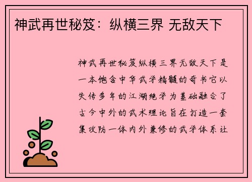 神武再世秘笈:纵横三界 无敌天下 神武再世秘笈:纵横三界 无敌天下